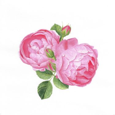 Workshop von Katja Katholing-Bloss