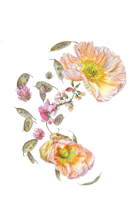 Sophie Crossart, Panspermia